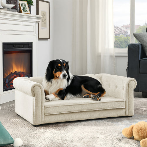 The Sunshine Lounge – Elevated Pet Sofa bed