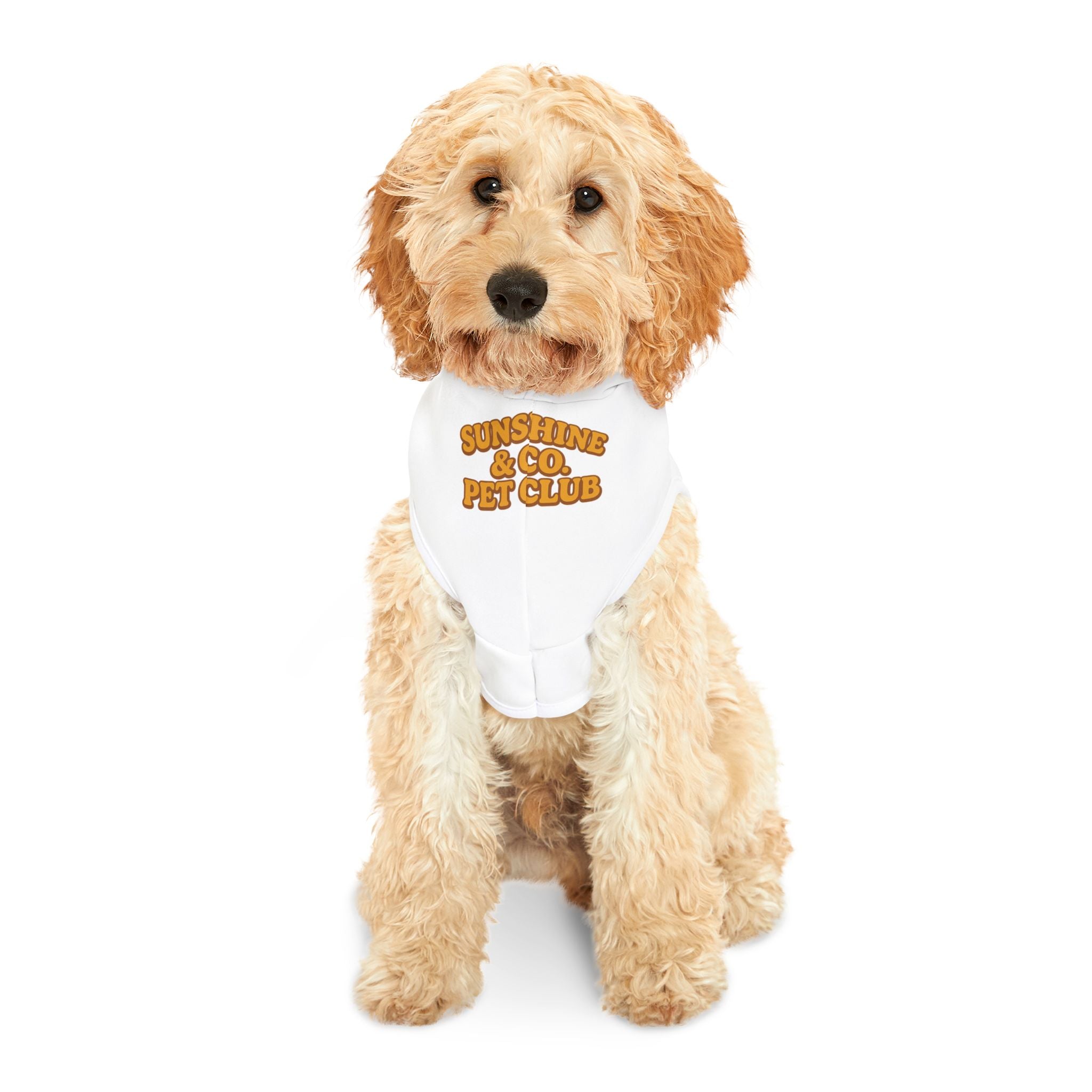 Corgi Yoga Pet Hoodie — Cute Relaxed Dog Sweatshirt for Small Dogs