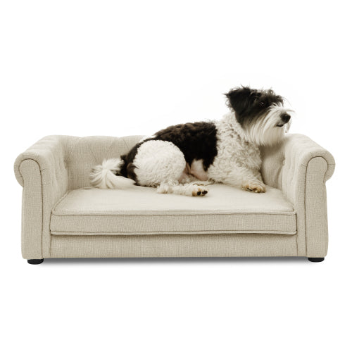 The Sunshine Lounge – Elevated Pet Sofa bed