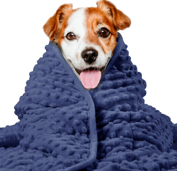 Thunder Washable Anxiety Blanket